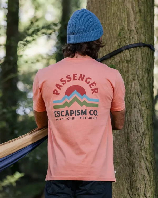 Cheap Passenger Dumont Organic Relaxed Fit T-Shirt Tawny Peach