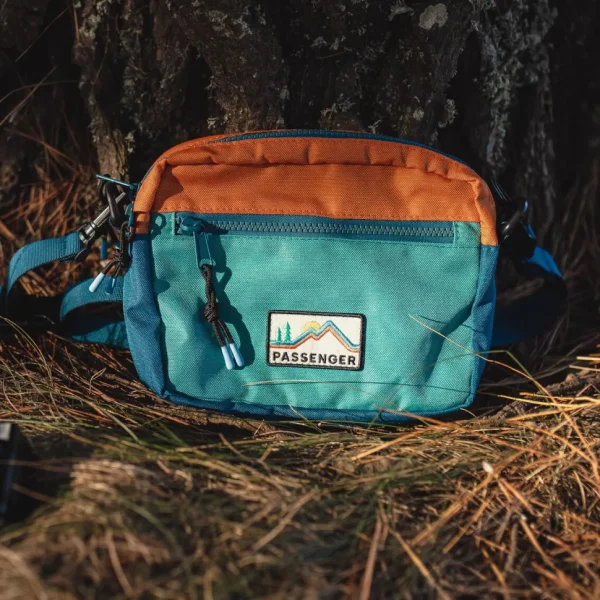 Best Passenger Mainland Recycled Hip Pack Multi Colour