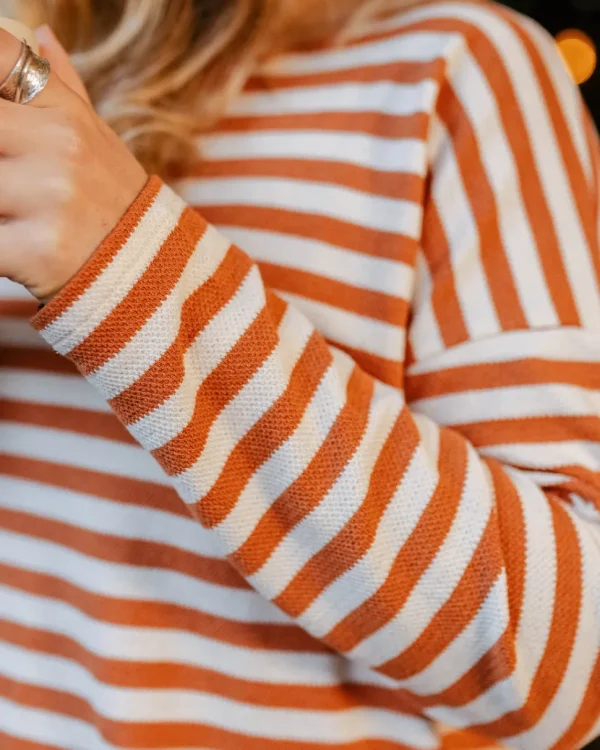 New Passenger Panorama Striped LS T-Shirt Glazed Ginger