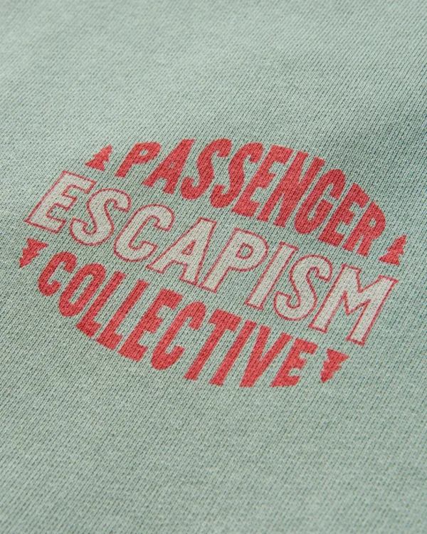 Flash Sale Passenger Reconnect Recycled Cotton Hoodie Pistachio