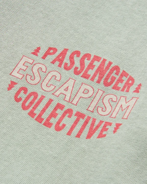 Shop Passenger Reconnect Recycled Cotton T-Shirt Pistachio